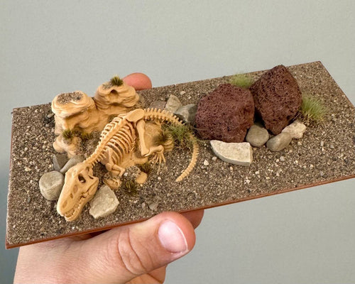 3XV/3XV Gypsum | Dino Decoration image 0