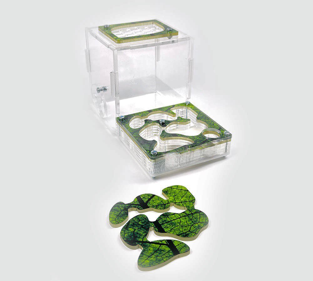Farm XL kit (with partitions) image 9