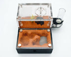 Terra S Ant Farm kit image 0
