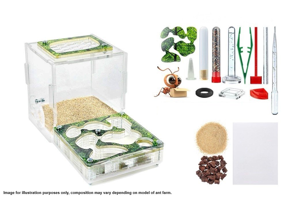 Farm XL kit (with partitions) image 0