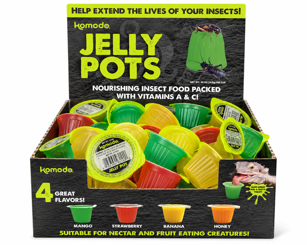 1 Ant Protein Jelly Pots (Mixed) 16g image 0