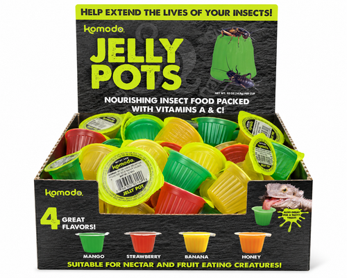 1 Ant Protein Jelly Pots (Mixed) 16g image 0