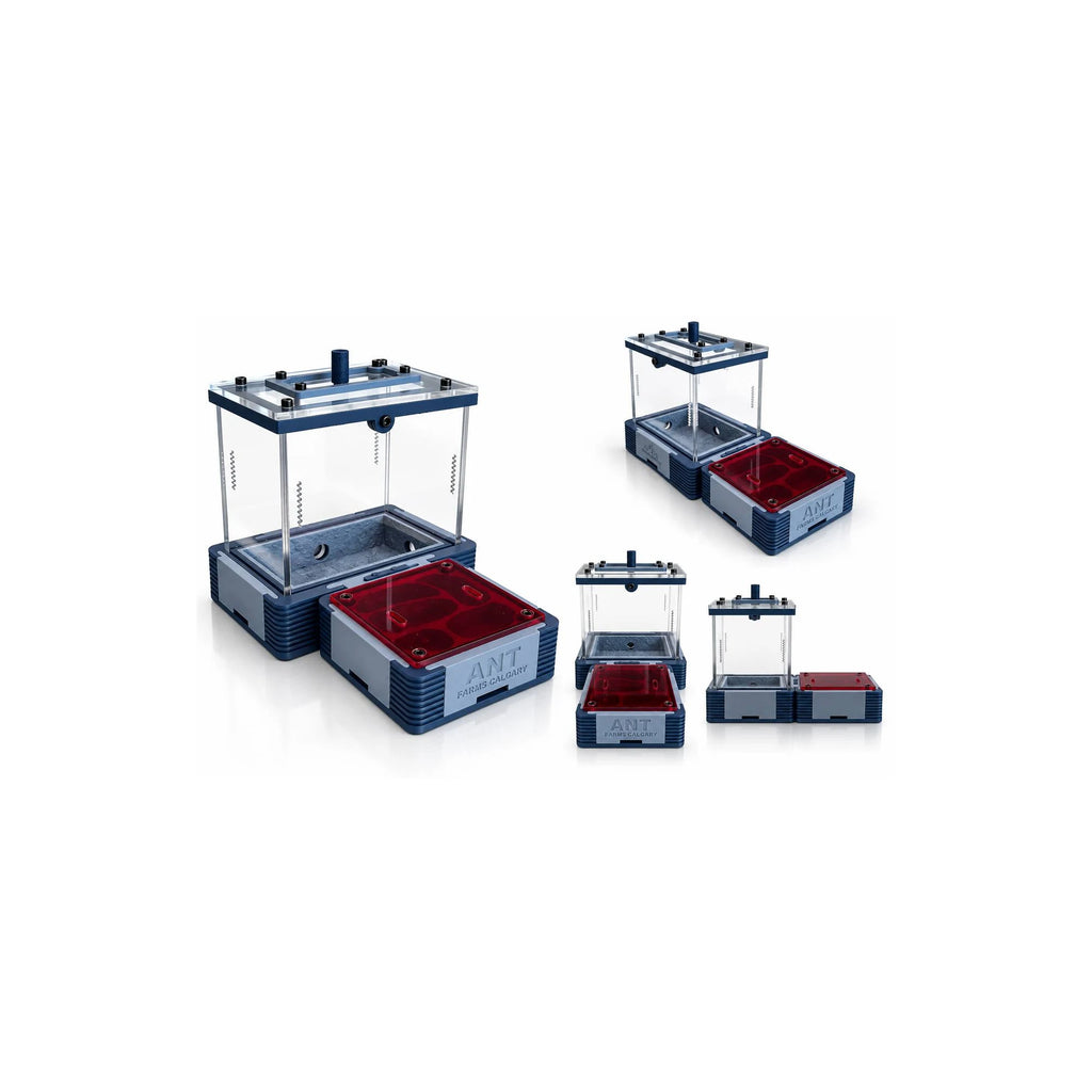 Modular Ant Farm New Gen Small kit