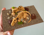5XL/5XV/Arena MAXI | Dino Decoration image 0