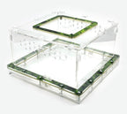 ARENA MAXI Outworld (extension) image 5