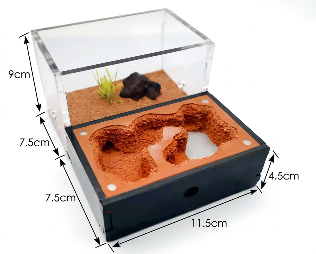 Terra S Ant Farm kit image 4