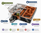 Terra XL Ant Farm kit image 1
