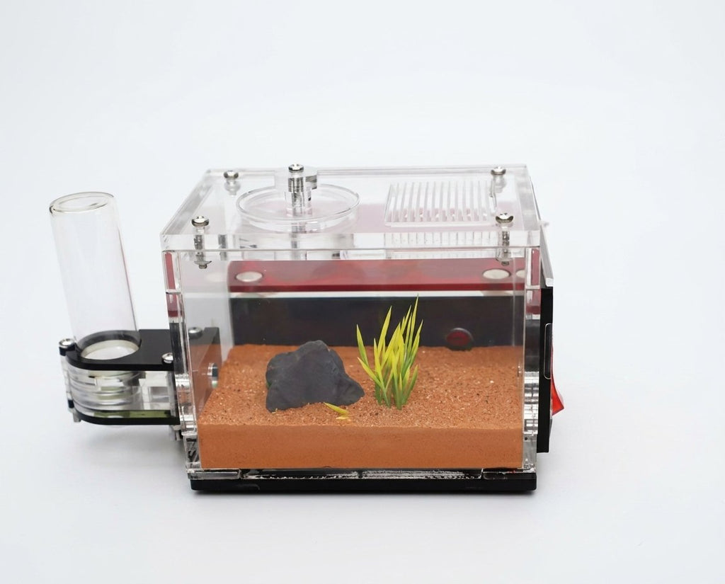 Terra S Ant Farm kit image 3
