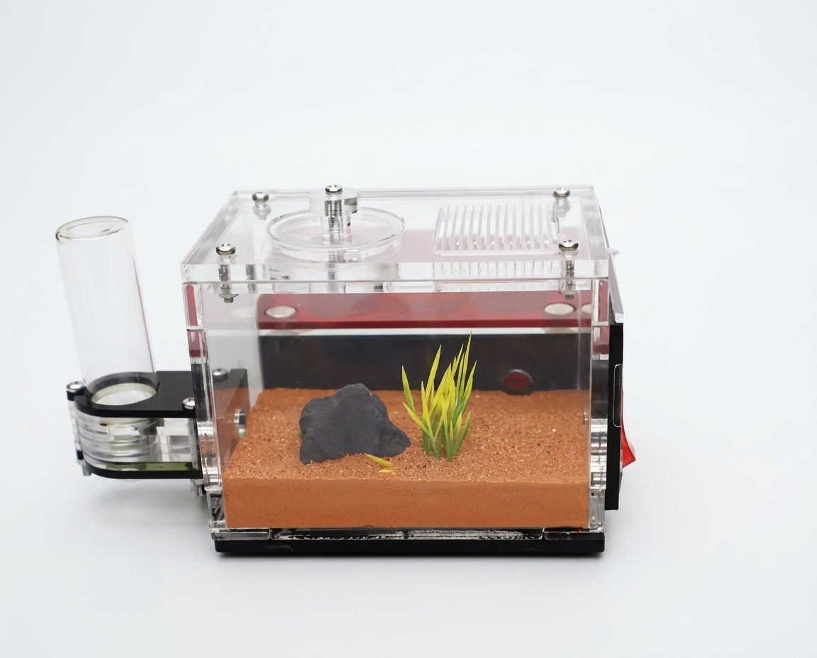 Terra S Ant Farm kit image 3