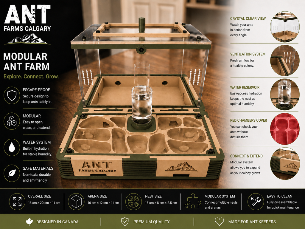 Modular Ant Farm Forest Large kit
