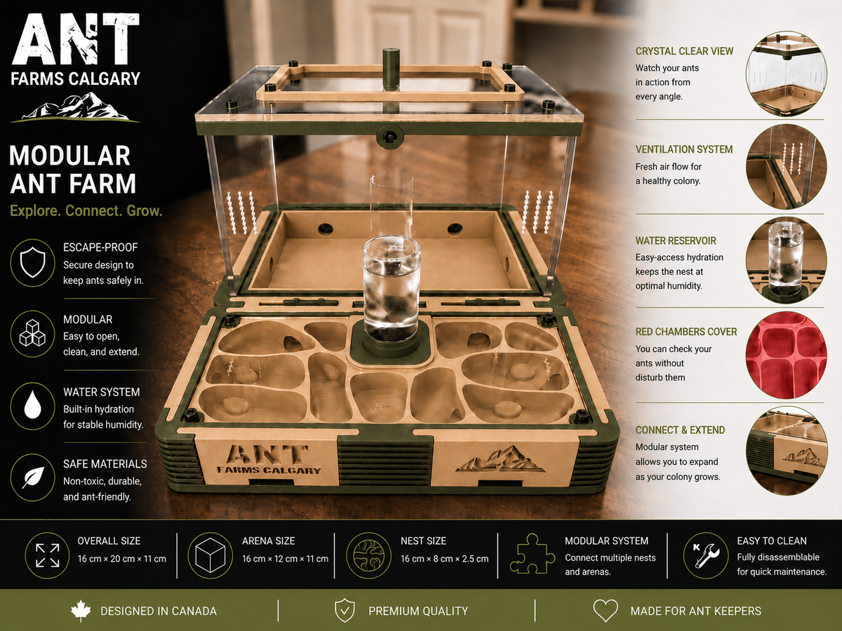 Modular Ant Farm Forest Large kit