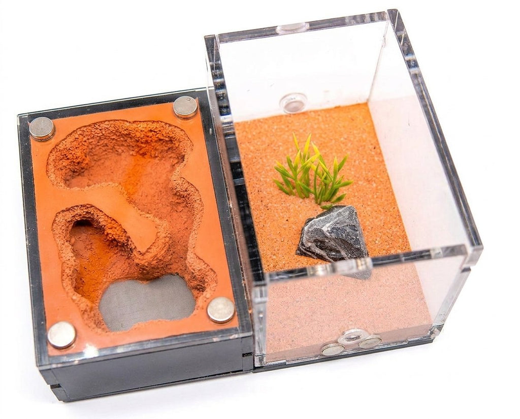 Terra S Ant Farm kit image 2