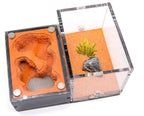 Terra S Ant Farm kit image 2