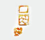 Farm XL kit (with partitions) image 17