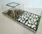 Modular Farm 5XL Max kit image 0
