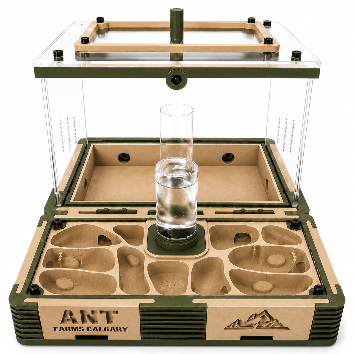 Modular Ant Farm Forest Large kit